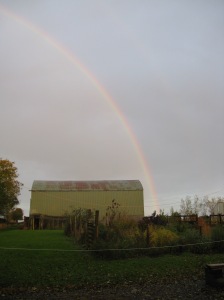 Pot of gold in the hay shed